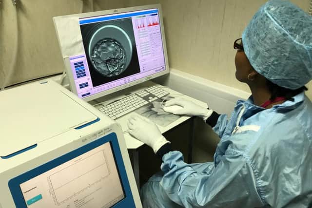 New time-lapse technology enables to study embryos in much more detailing increasing IVF success rates. Picture: The Star/George Torr