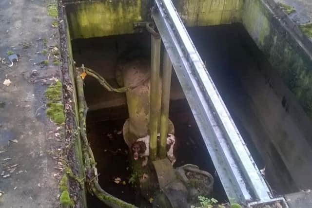 The stricken spaniel at the bottom of the pumping pit