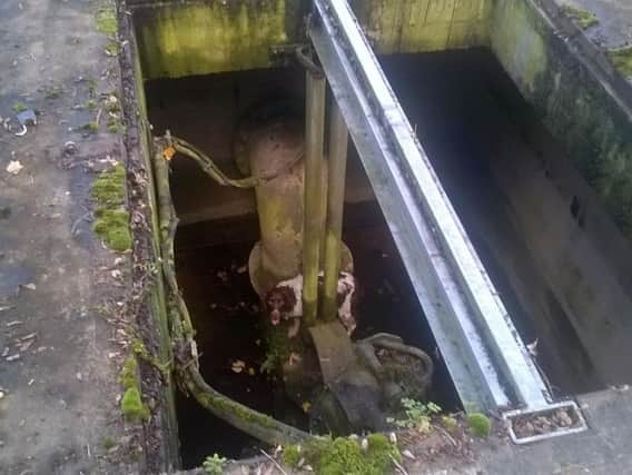 The stricken spaniel at the bottom of the pumping pit