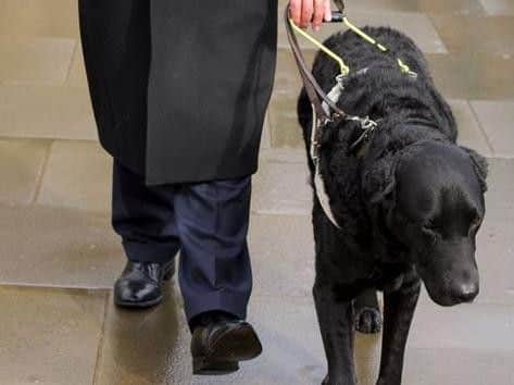 Lord Blunkett's sixth dog, Cosby