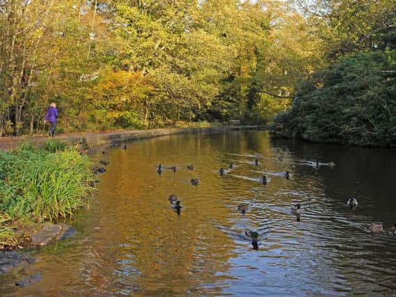 A flood storage area is proposed at Endcliffe Park