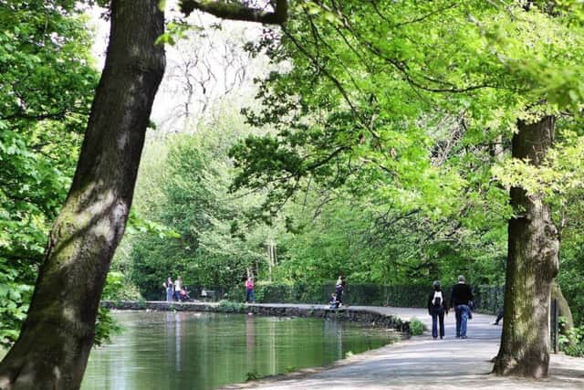Endcliffe Park would be used to temporarily hold floodwater, under the latest proposals