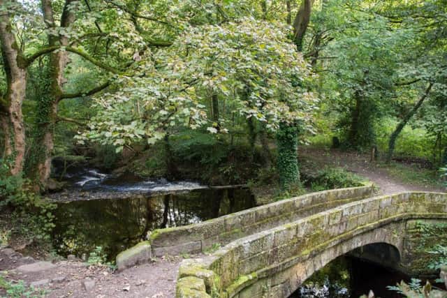 Controversial proposals for a flood storage area in the Rivelin Valley may now not go ahead