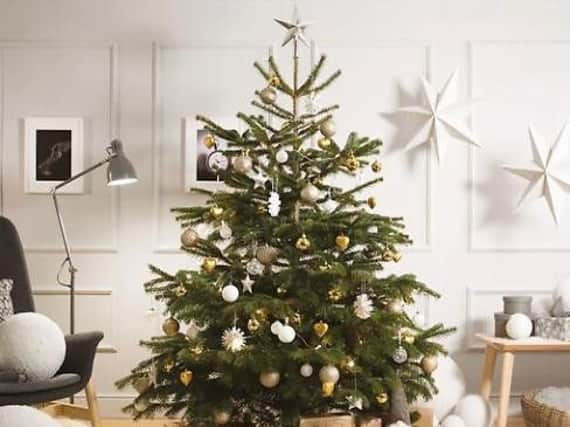 IKEA Christmas Tree - IKEA
