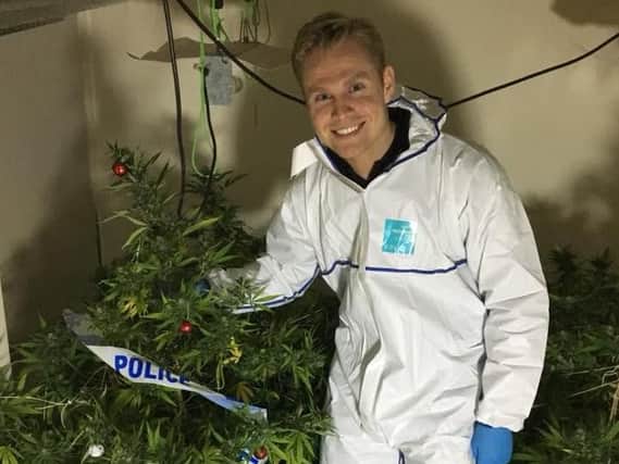 A police officer with one of 86 cannabis plants found in a drug den in Doncaster