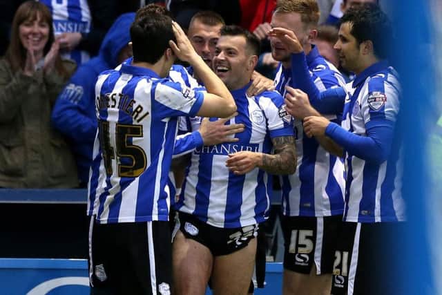 Ross Wallace and Sheffield Wednesday team mates after his goal against Brighton