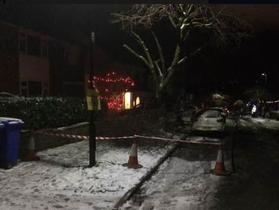 Branches were removed from trees in Sheffield at 4.15am today