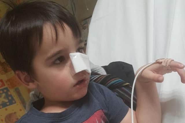 Boy, four, left needing surgery after being hit during 'freak' tree ...