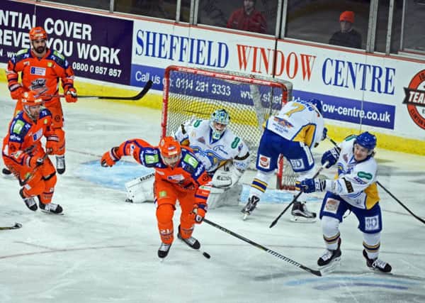 Sheffield Steelers v Fife Flyers. Sheffield's Tim Wallace in the thick of it.