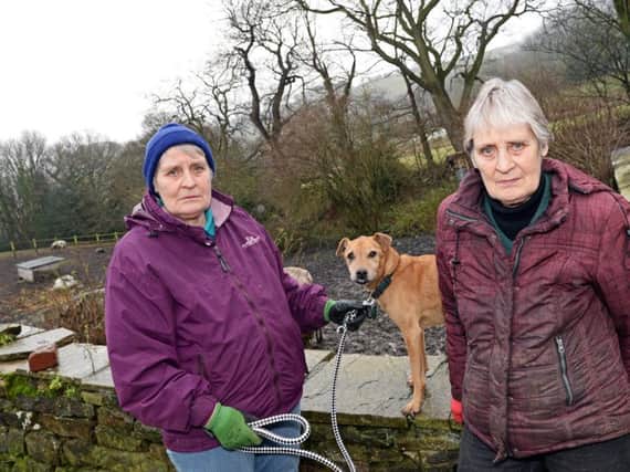 Mill House Animal Sanctuary trustees Pat Hartley and Jane Wright pictured with Murphy, one of the dogs it cares for (photo: Marie Caley)