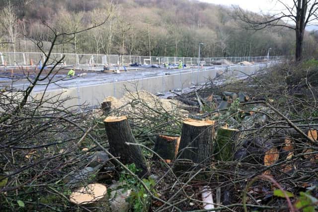 Trees have been felled to make way for the path