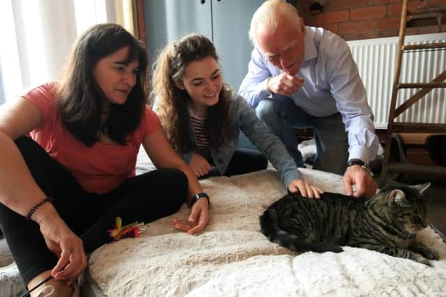 The launch of Sheffield's first cat cafe Tabby Teas.
