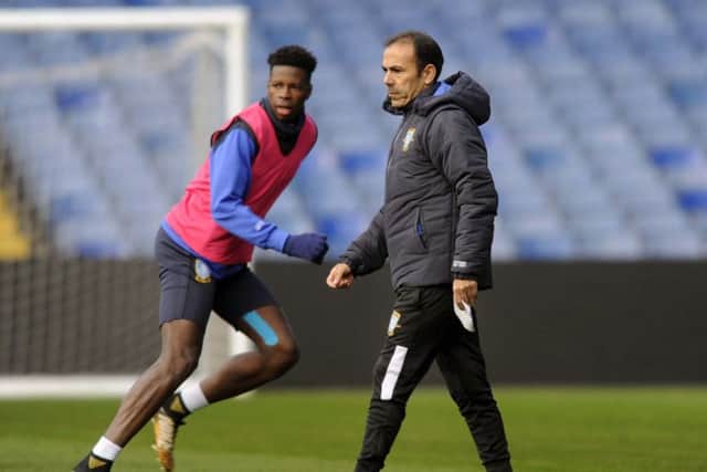 Pictured is New Sheffield Wednesday Manager Jos Luhukay taking his first training session on the Hillsborough pitch.Jos is with Lucas Joao....Pic Steve Ellis
