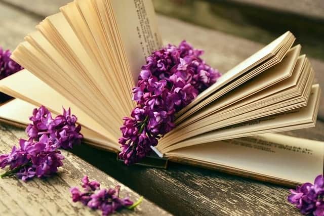 Top 5 books for Jan.