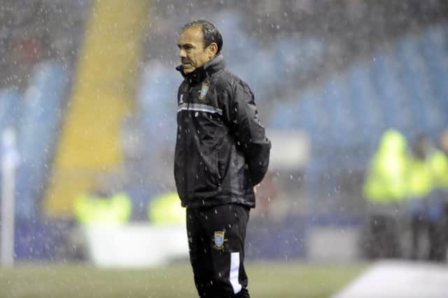 Owls new manager Jos Luhukay in his first home game during a snow storm....Pic Steve Ellis