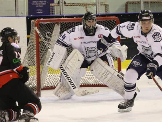 Sheffield Steeldogs take on Solway Sharks  - and goaltending will be vital. Pic by Peter Best.