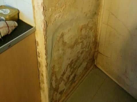 Mould in the kitchen.