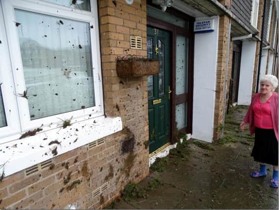 The quad bikes splattered homes on Spotswood Close with mud
