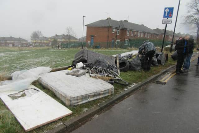 Fly-tipped rubbish and litter collected on a previous Sheffield Litter Pickers event in the Norfolk Park area.