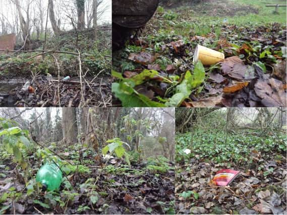 Examples of the plastic waste in Heeley woods.