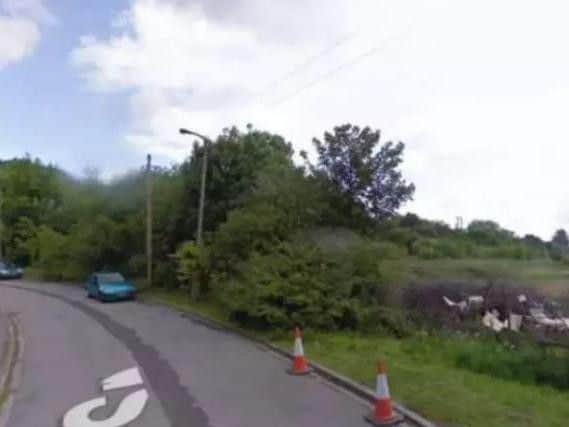 The shooting took place in woodland off Smithy Wood Road in Chapeltown, Sheffield on April 23 last year. Picture: Google Maps