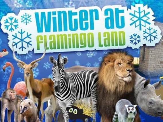 Flamingo Land has plenty to do all year - including a great winter zoo schedule