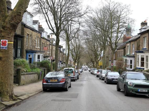 The new planting scheme follows a controversial decision to fell memorial trees on Western Road, Crookes, in Sheffield.