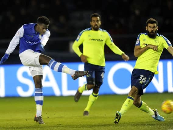 Lucas Joao fiores in his second goal of the night against Derby County