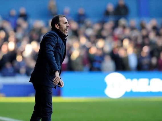 Jos Luhukay on the sidelines during his side's 4-2 defeat to Aston Villa at Hillsborough