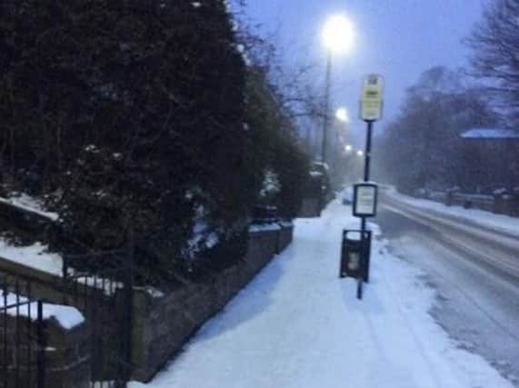 Snowy Sheffield (Pic: Anna Hawley)