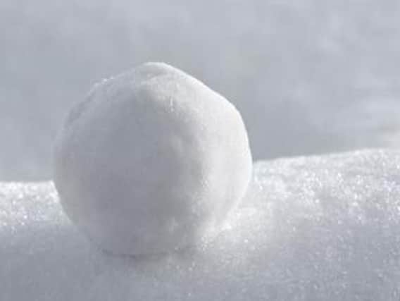 A boy was detained by police officers for throwing snowballs at cars in Sheffield