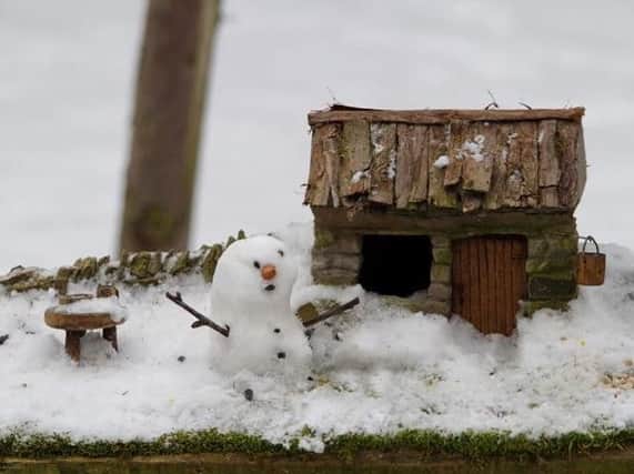 The tiny snowman even had his own mini house (photo: Simon Dell)