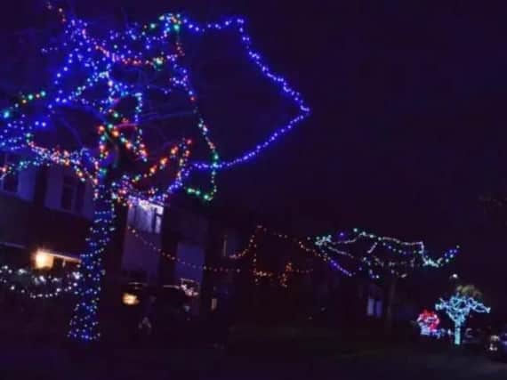 Trees on Abbeydale Park Rise are decorated with lights every Christmas