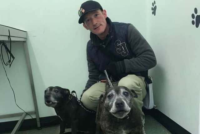 Big Issue vendor Andrew and his Staffies Shadow and Genghis.