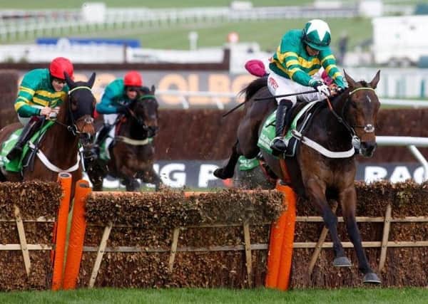 Buveur D'Air wins the Champion Hurdle at last year's Cheltenham Festival. He is a short-priced favourite to land a repeat success.