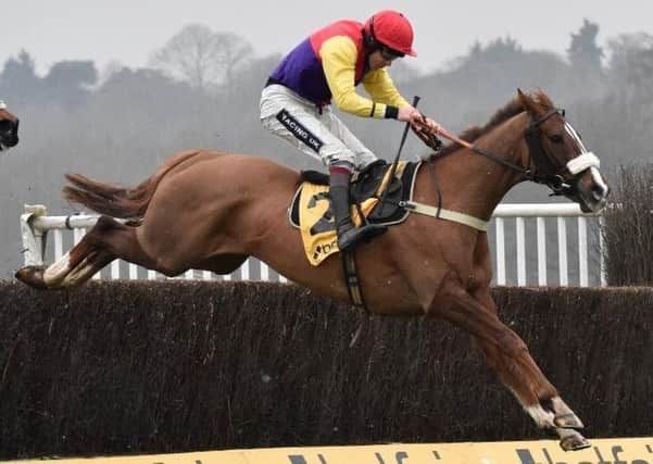 Native River, third last year, is expected to go close again in the Timico Cheltenham Gold Cup.