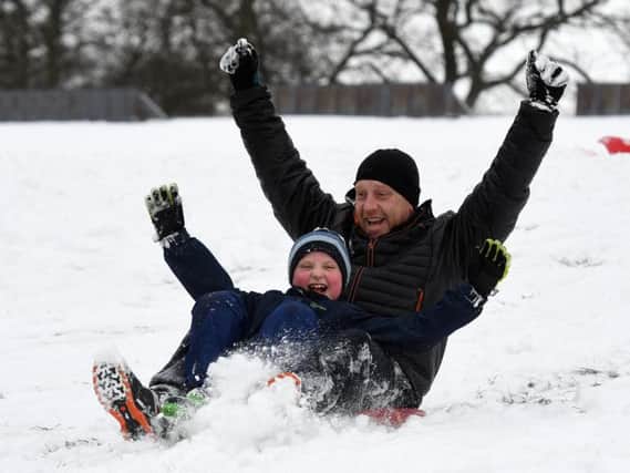 Phil and George Beal sledging at Norfolk Heritage Park. Pictures by Andrew Roe.
