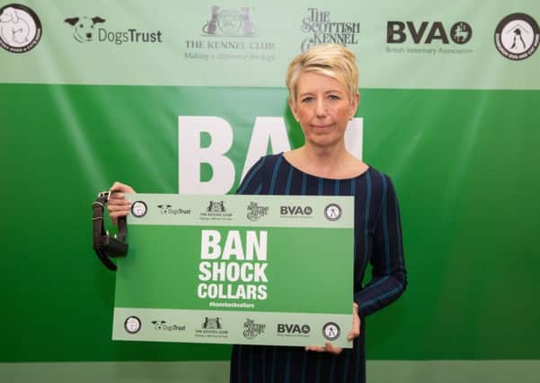 Angela Smith MP is calling for a ban on electric shock collars for dogs.