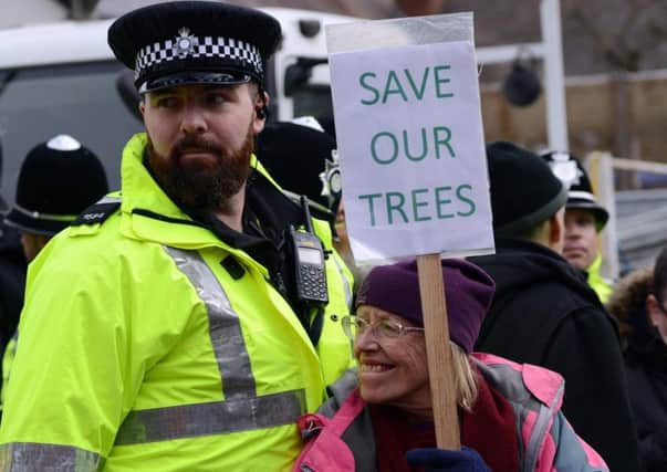 Tree protestors and police clash on Abbeydale Park Rise as Amey attempt to cut down more trees. Picture Scott Merrylees