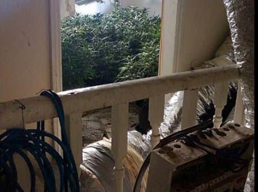 A terraced house in Tinsley was converted into a cannabis factory