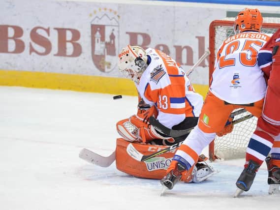 'The Moose' in action for Sheffield Steelers