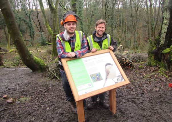 Stocksbridge based countryside management charity, The Steel Valley Project, has completed work on a Â£30,000 project to improve the habitat for the willow tit, one of the UKs most threatened bird species.