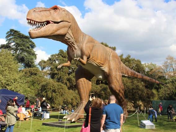 How the tyrannosaurus rex will look in Sheffield. Picture: Weli Creative