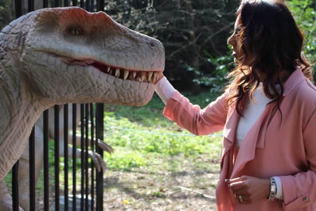 Visitors can get close to the animatronic dinosaur models. Picture: Weli Creative