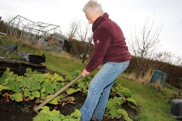Marion Gerson from Manor Allotments.