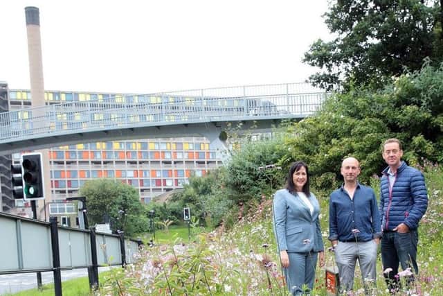 Dan Cornwall or Pictorial Meadows with Janene Scurfield of Enterprise Rent-A-Car with Nigel Dunnett from the University of Sheffield at Park Square Roundabout where the roundabout has been planted with new flowers, Sheffield, United Kingdom on 15 July 2016. Photo by Glenn Ashley Photography