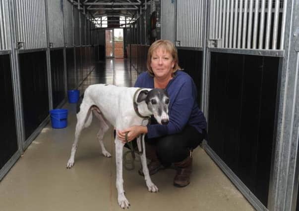 Tia Dog Rescue nr Doncaster
 Deb Rothery, with a former greyhound
oct 2016