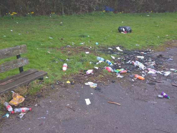 Litter in Parson Cross Park. Picture: Sheffield North East NHP.