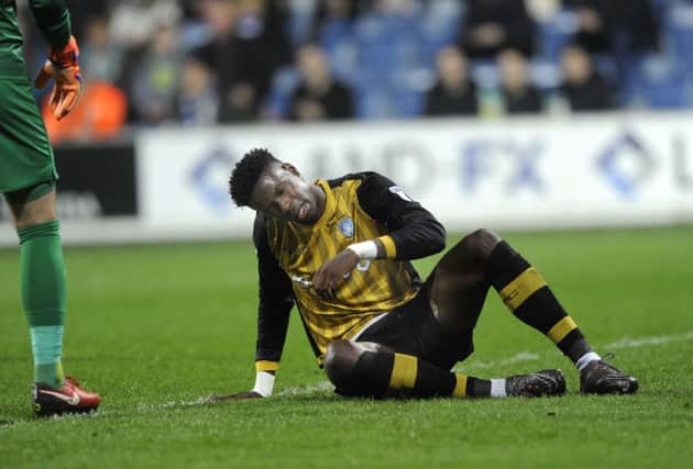Owls Lucas Joao down and out...Pic Steve Ellis