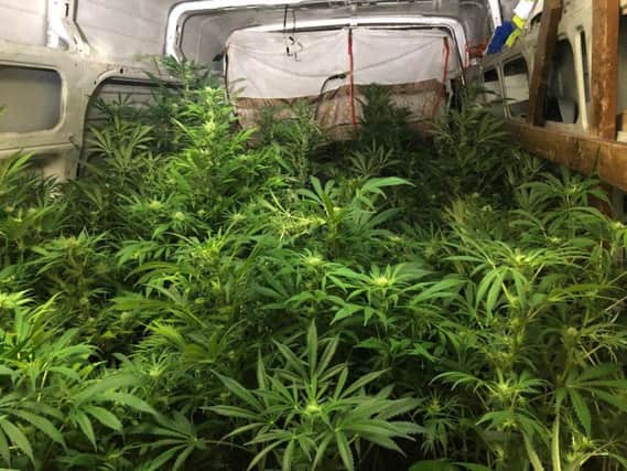 Cannabis found in the back of the van. Picture: Derbyshire RPU.